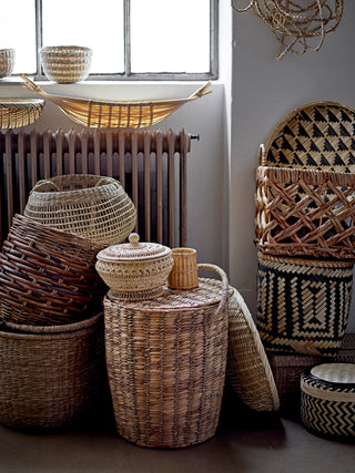 Ledu Basket, Nature, Rotting